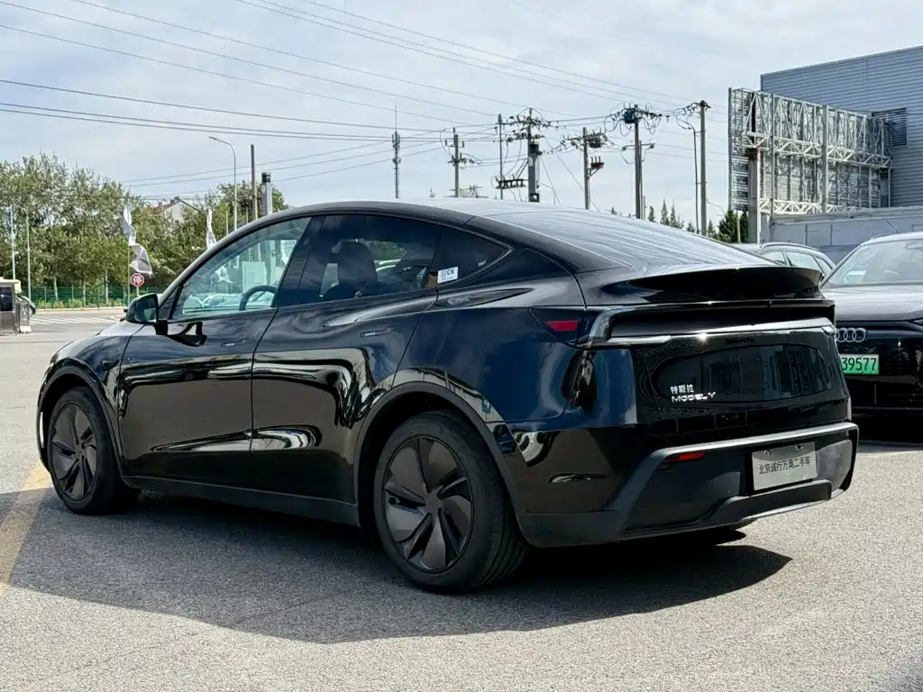 Tesla Model Y — миниатюра 3