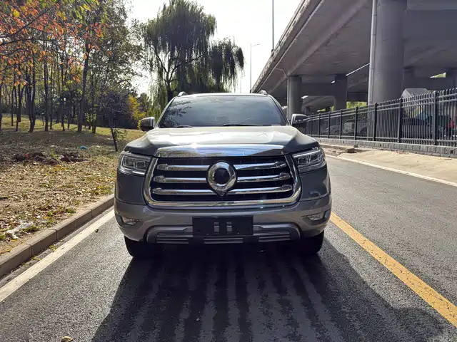 GREAT WALL CANNON 2023