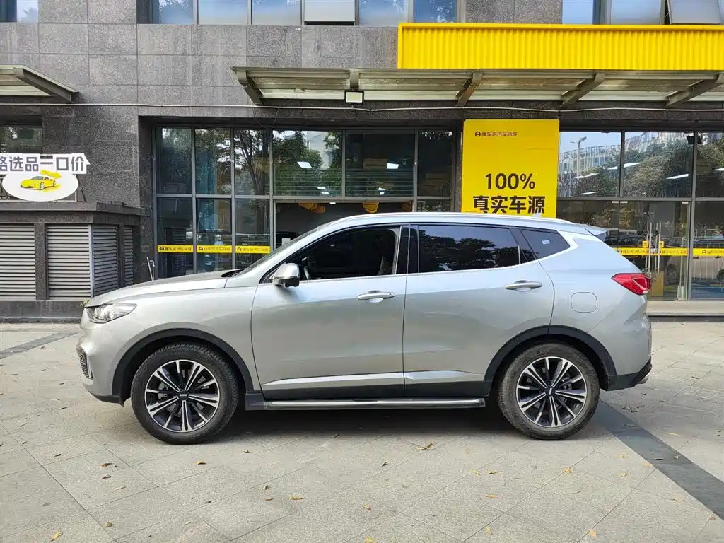 WEI PAI WEI BRAND VV6