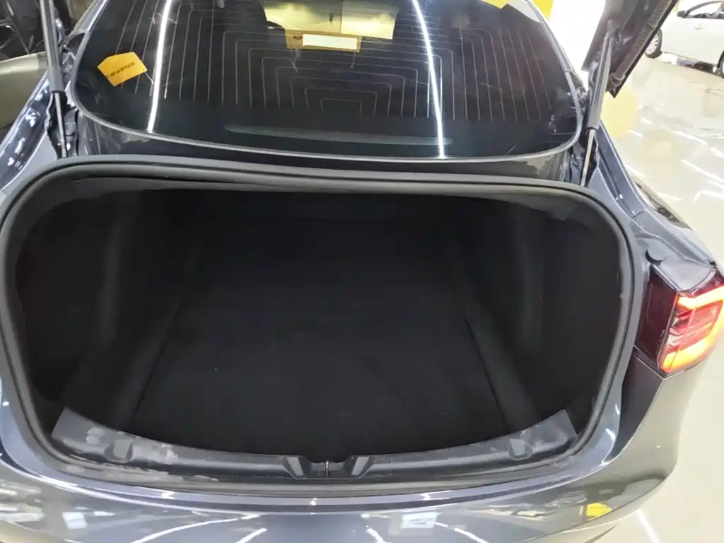 Tesla Model 3 — миниатюра 19