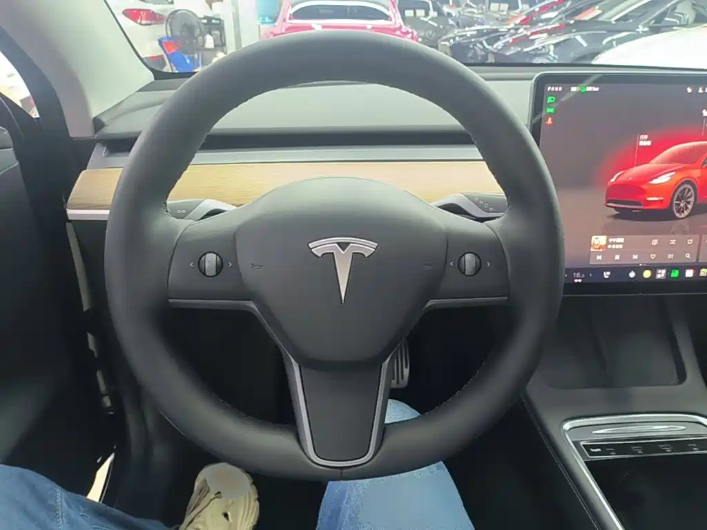 Tesla Model Y — миниатюра 11