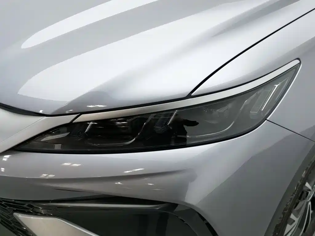 BYD Pro New Energy — миниатюра 7
