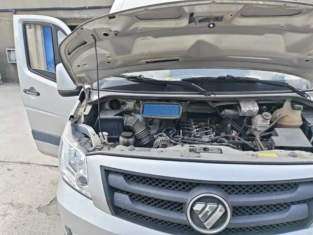 Foton Tuyano — миниатюра 19