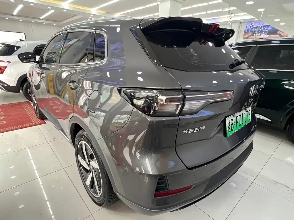 Qiyuan Чанг Ан Кай Q05 классика. — миниатюра 8