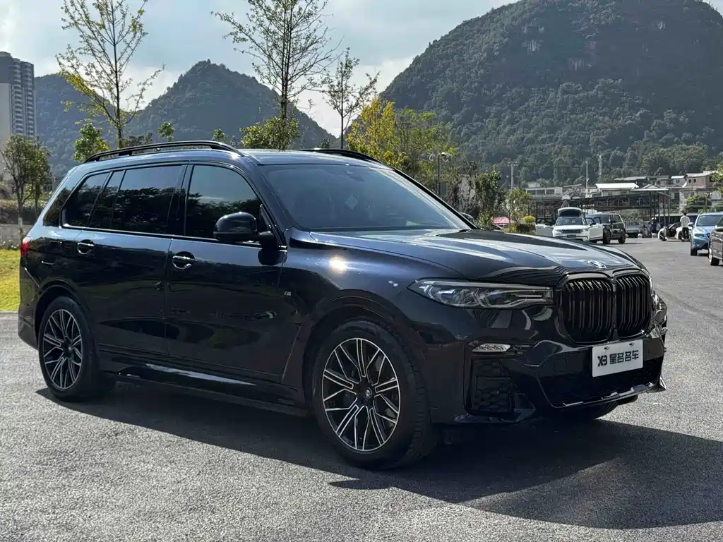BMW X7 — миниатюра 14