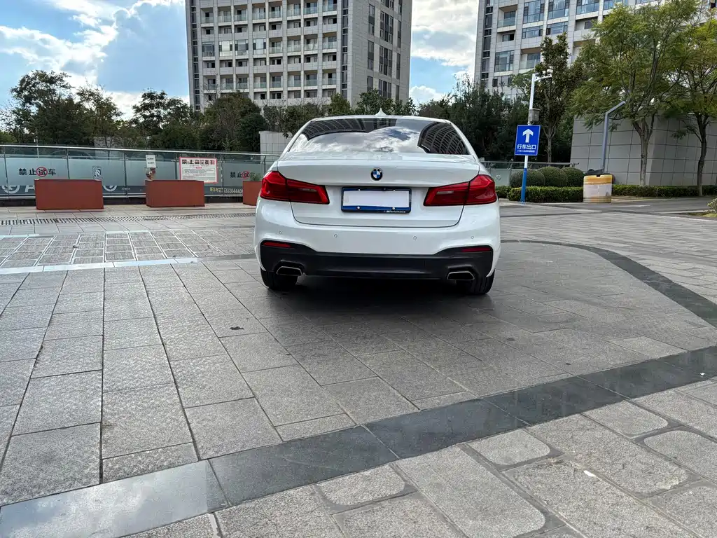 BMW 5 Series — миниатюра 4
