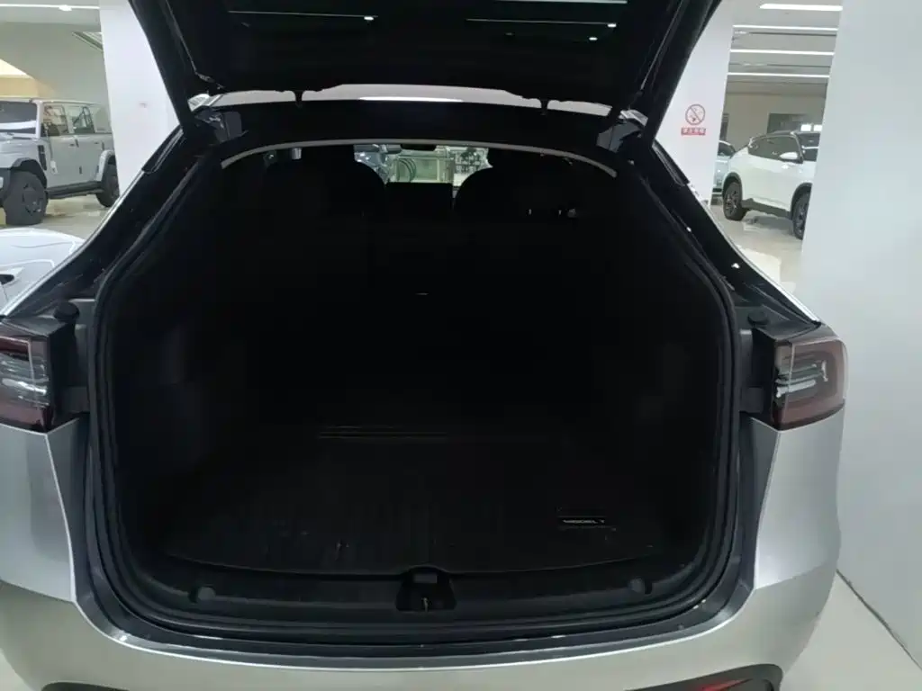 Tesla Model Y — миниатюра 19