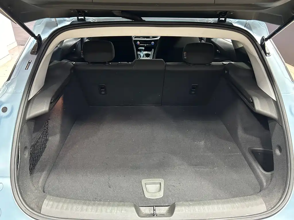 BUICK SLIGHTLY BLUE 6