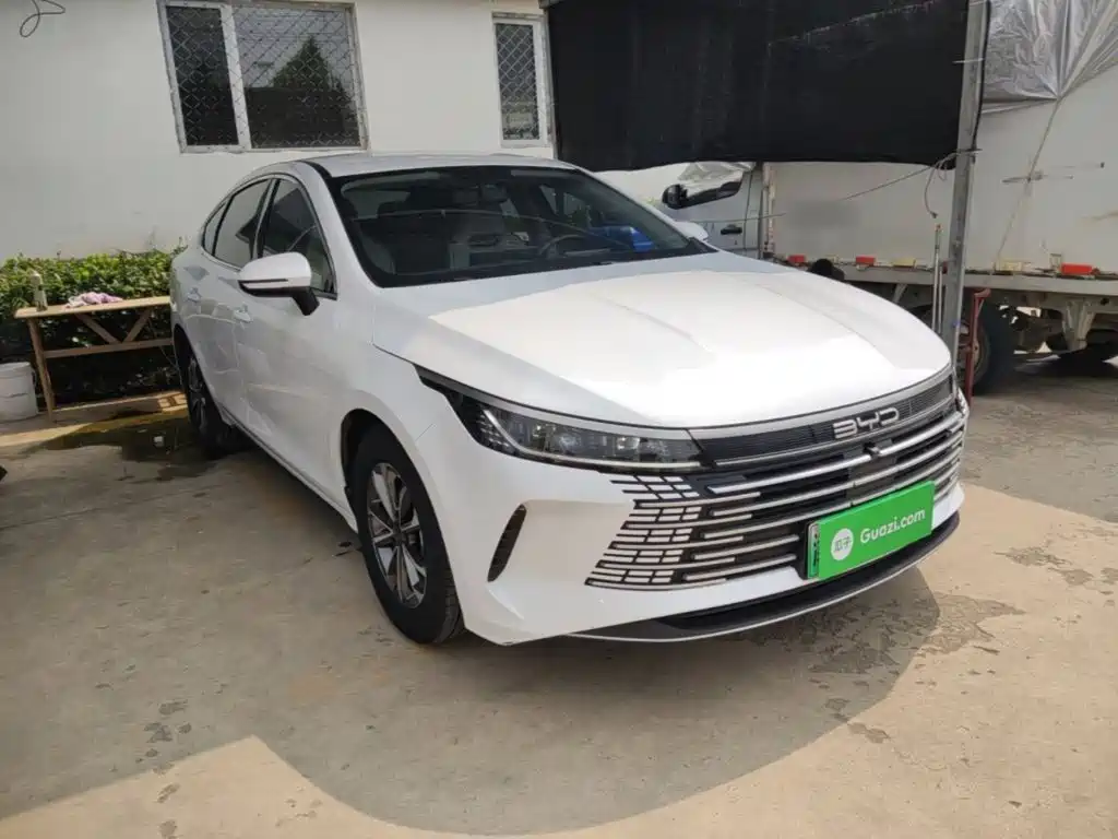 BYD Destroyer 05 2024 DM-i 55KM Luxury