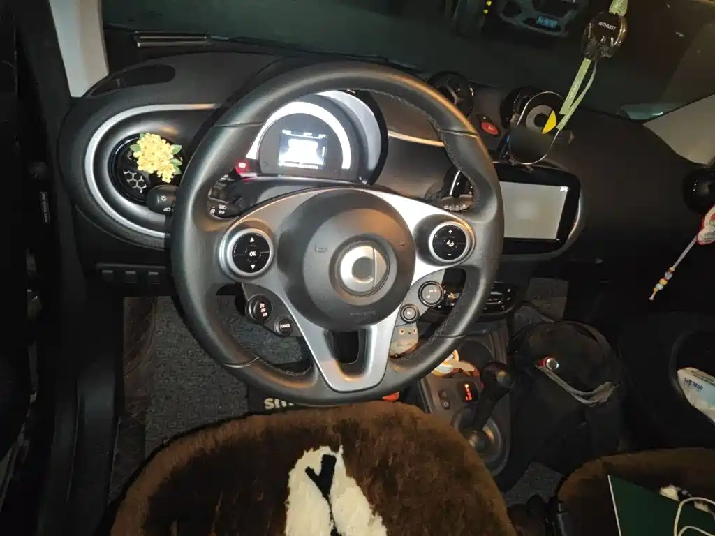 smart Smart Fortwo — миниатюра 11