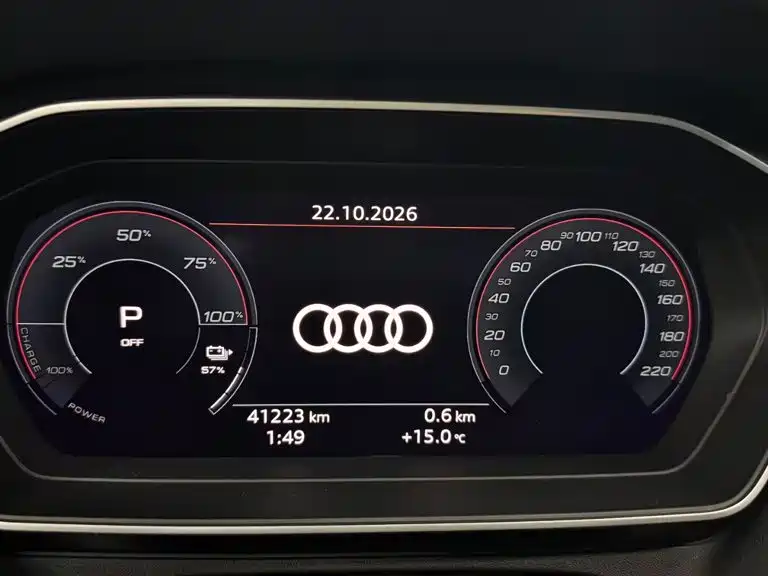 Audi Q4 e-tron 2024 — фото 11