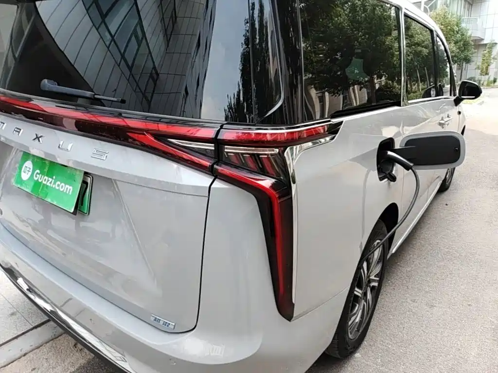 Maxus Dajia 9 — миниатюра 8
