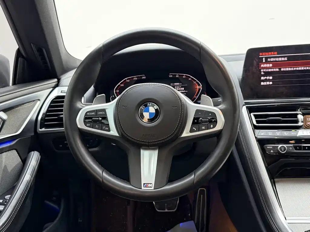 BMW 8 Series — миниатюра 15