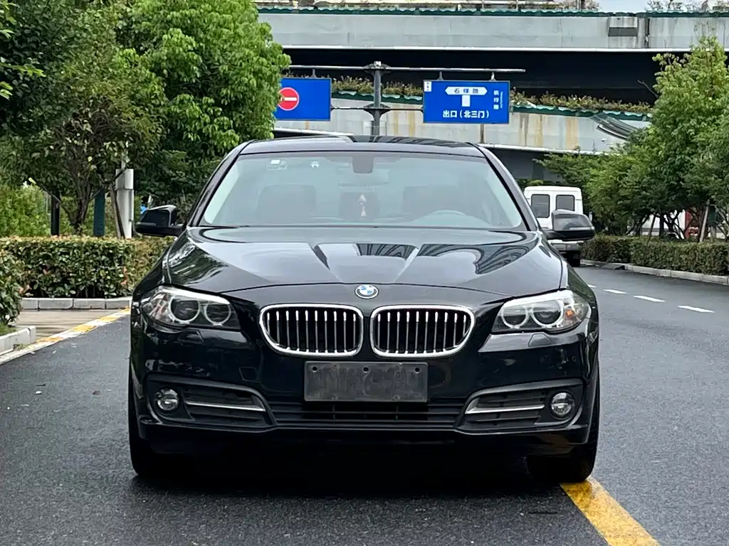 BMW 5 Series 5 2017 520Li Elegant