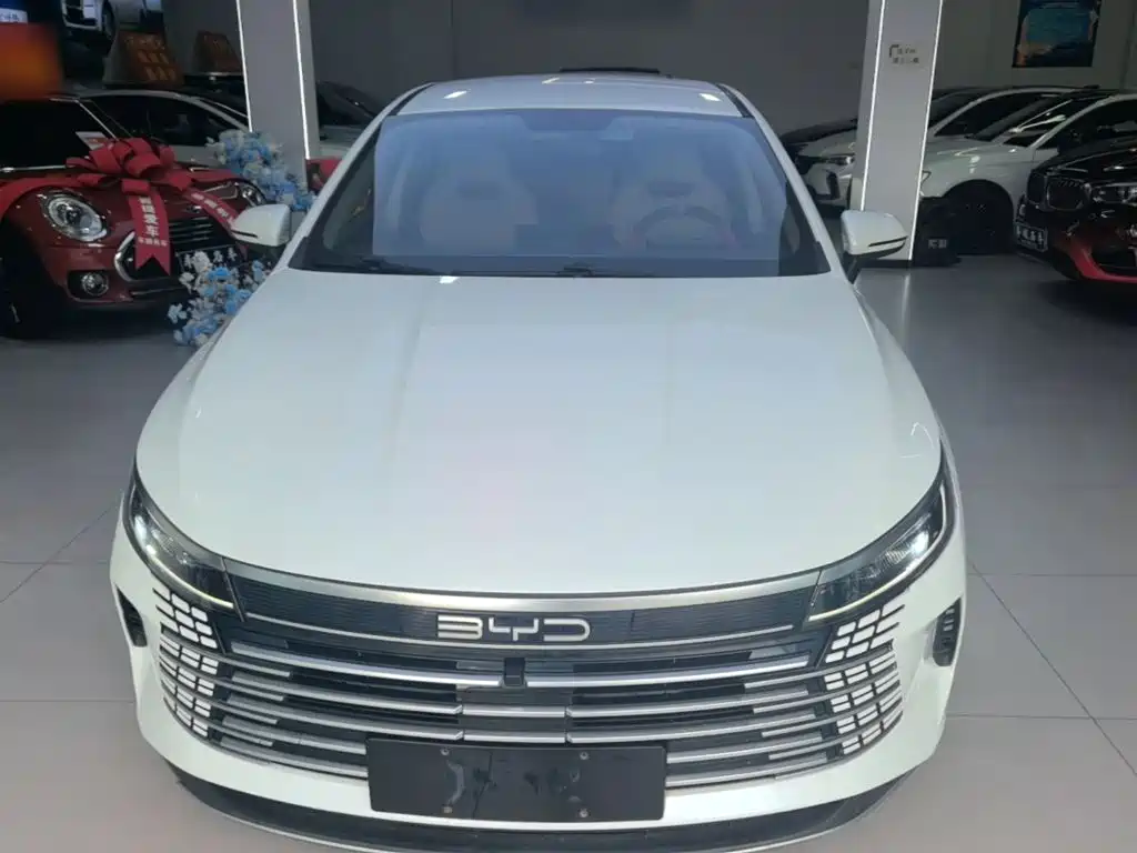 BYD Destroyer 05 — миниатюра 3