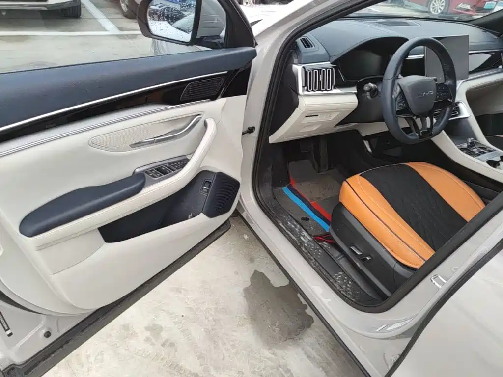 BYD PLUS New Energy — миниатюра 16