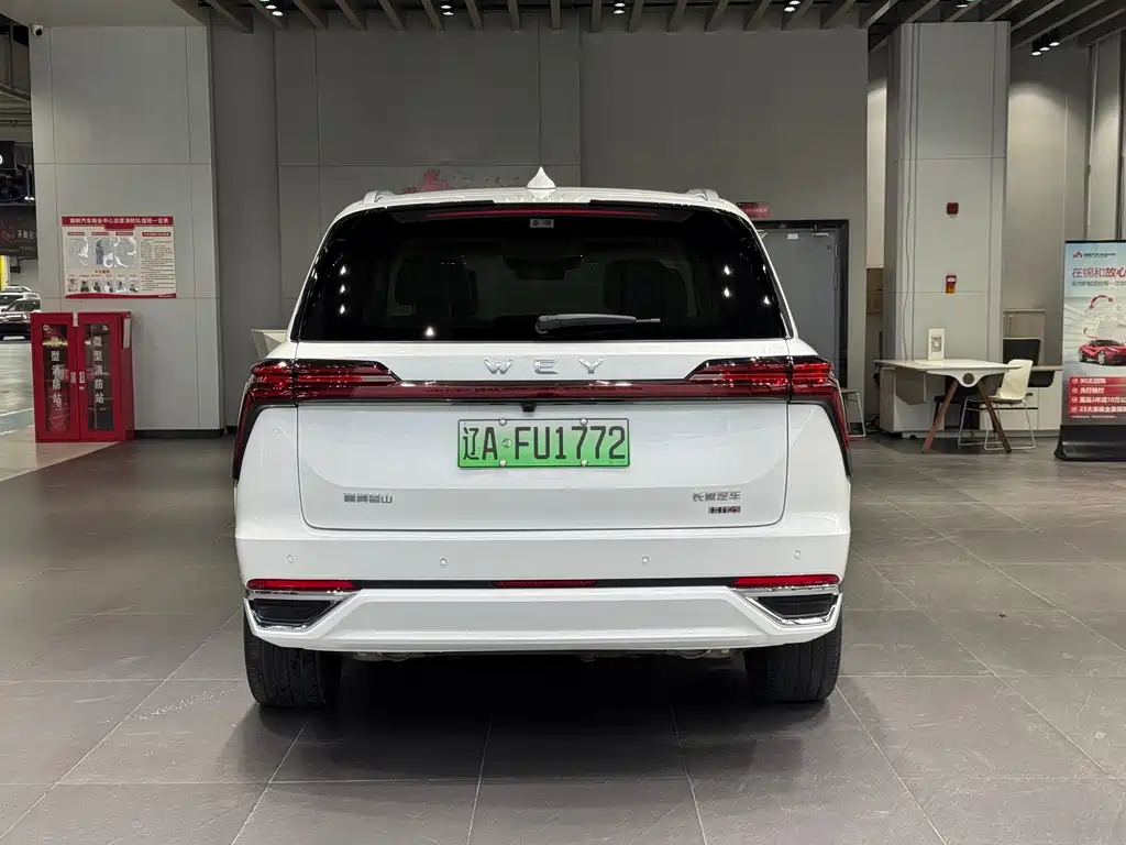 WEI PAI WEI BRAND BLUE MOUNTAIN