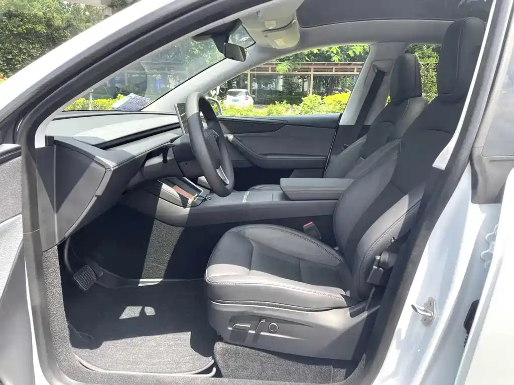 Tesla Model Y — миниатюра 4
