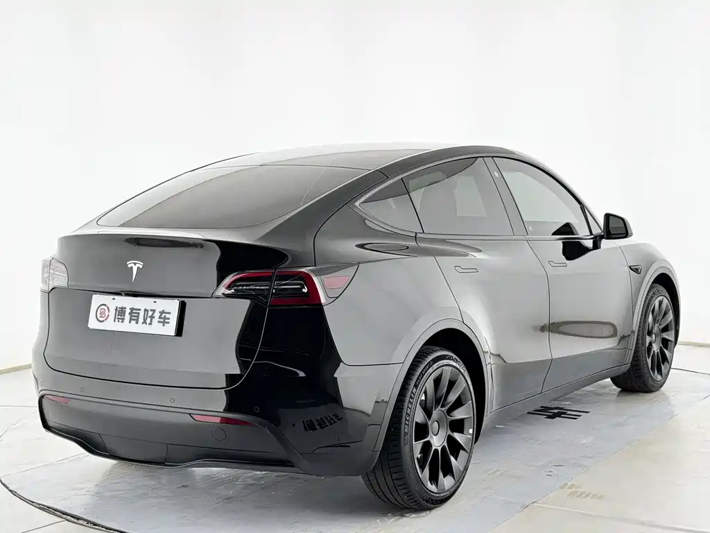 Tesla Model Y — миниатюра 9