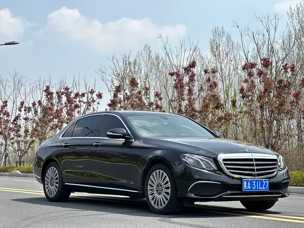 Mercedes-Benz E-Class E 2020 E 300 L