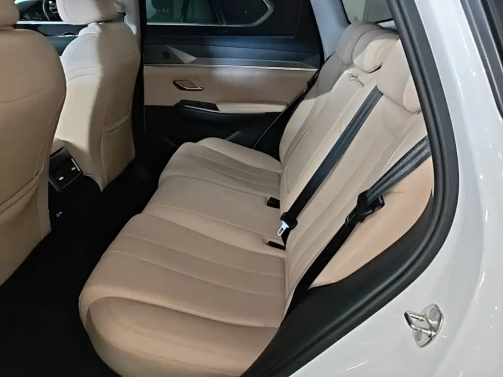 BYD Song Pro DM-i 2025 — фото 16