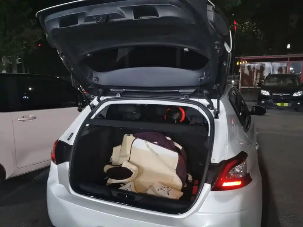 Peugeot 308S — миниатюра 19