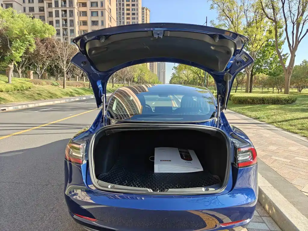 Tesla Model 3 — миниатюра 19
