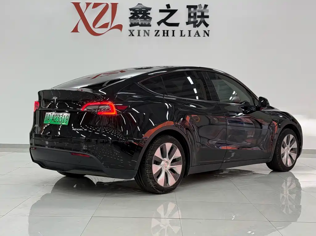 Tesla Model Y — миниатюра 4