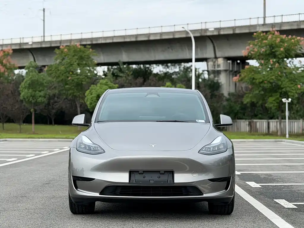 Tesla Model Y — миниатюра 2