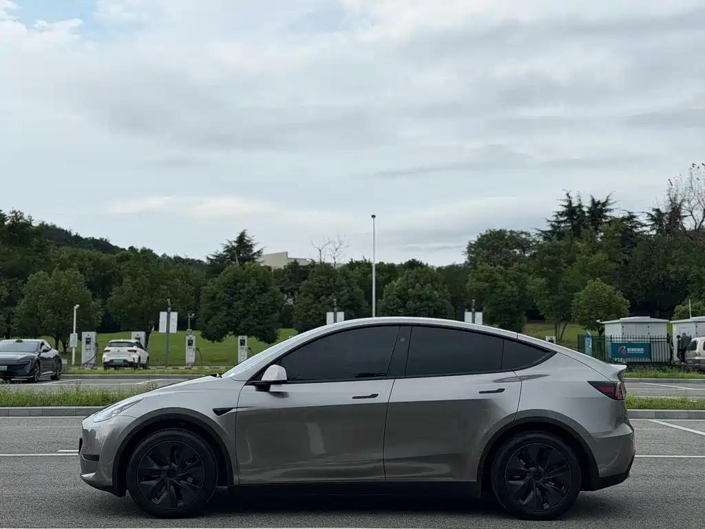 Tesla Model Y — миниатюра 4