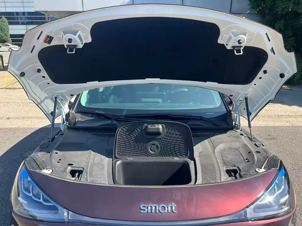 smart Smart #1 — миниатюра 33