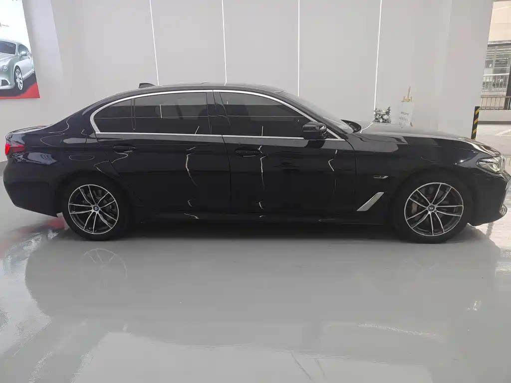 BMW 5 Series New Energy — миниатюра 4