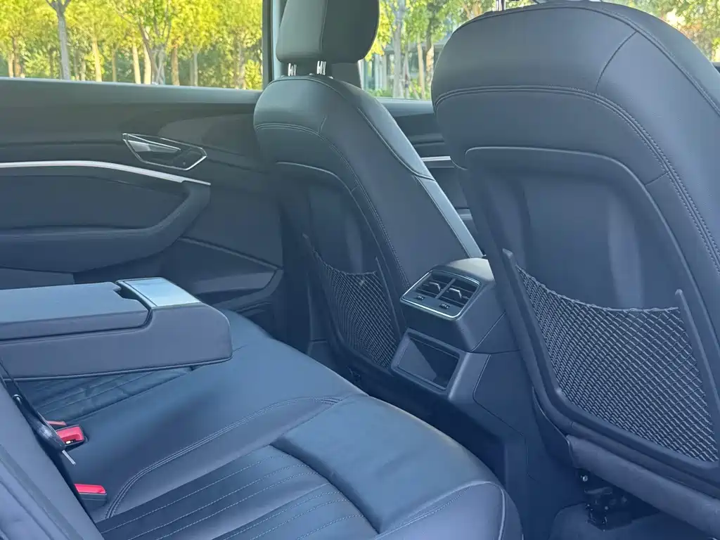 Audi e-tron (Import) — миниатюра 19