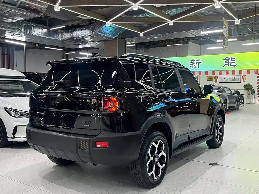 Shanhai Shanhai T1 — миниатюра 9