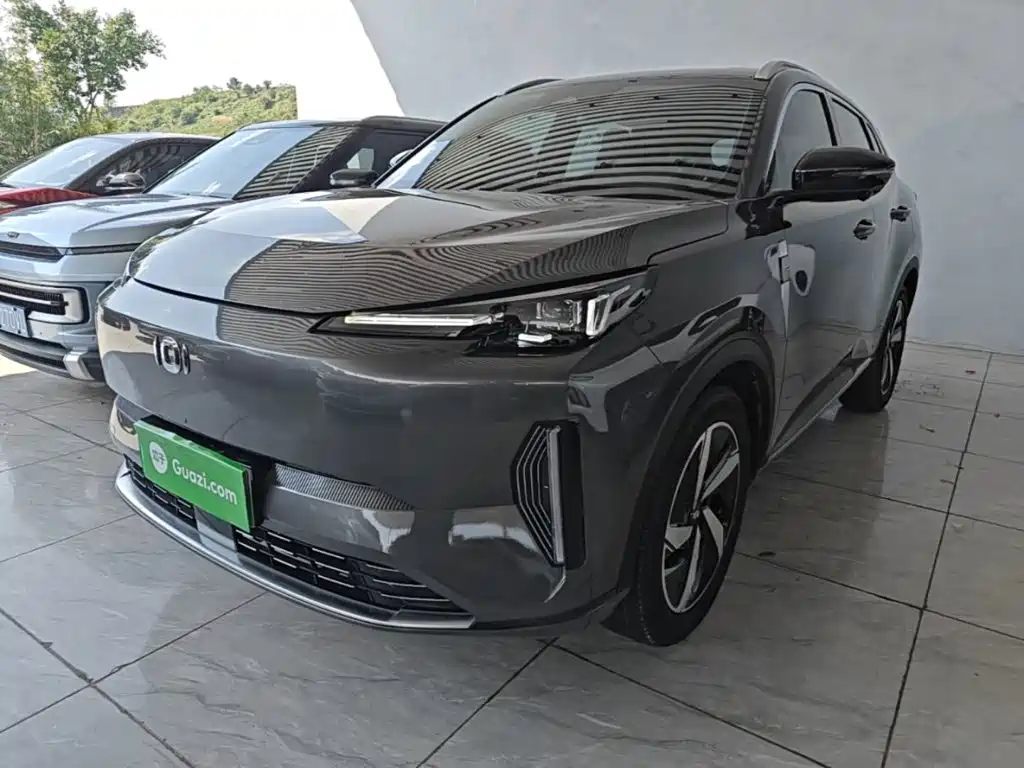 Qiyuan Чанг Ан Кай Q05 классика.