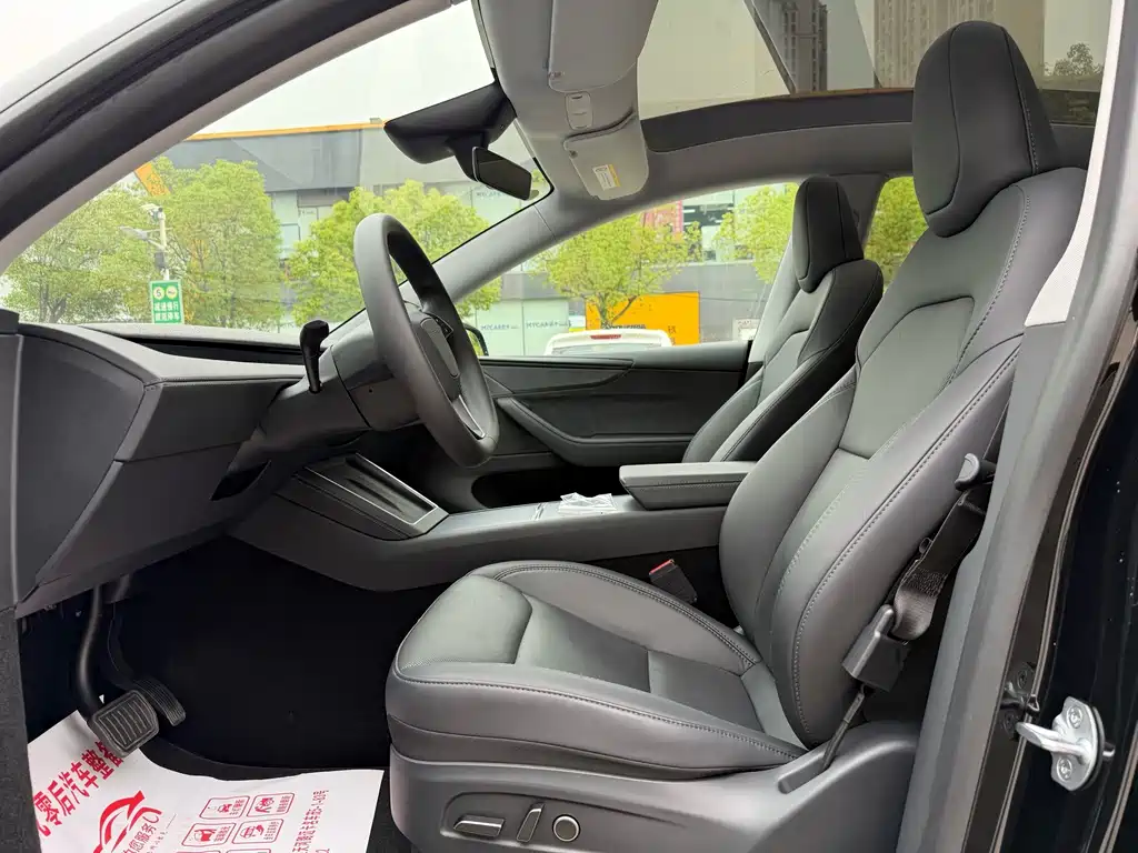 Tesla Model Y — миниатюра 5