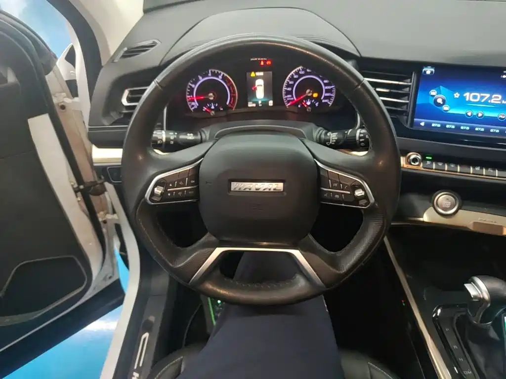 Haval H6 — миниатюра 11