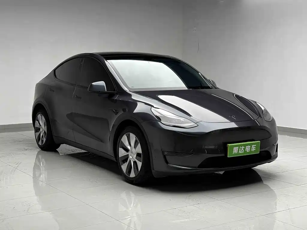 Tesla Model Y — миниатюра 3
