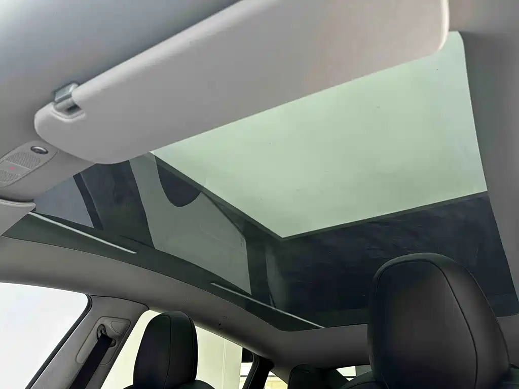 Tesla Model Y — миниатюра 15