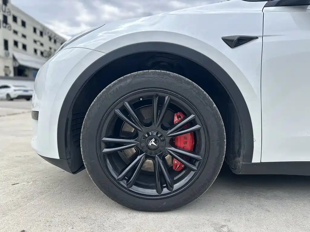 Tesla Model Y — миниатюра 23