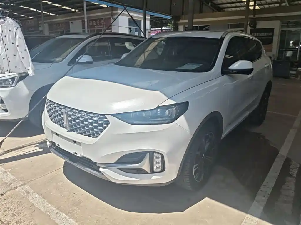 Wey Wey VV6 2020