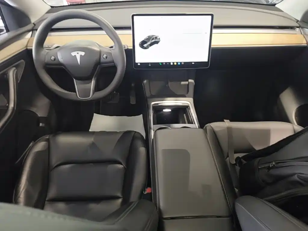 Tesla Model Y 2021 — фото 9