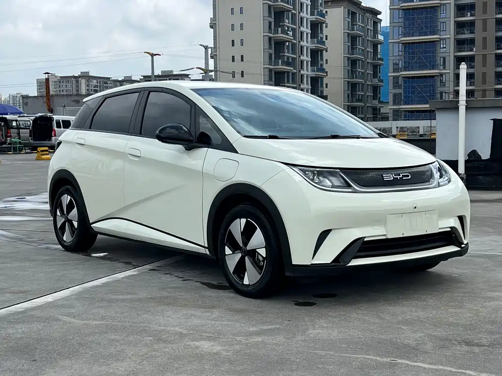BYD Dolphin 2023 420km Fashion