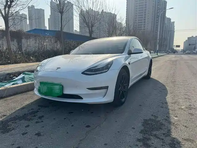 TESLA MODEL 3 2020