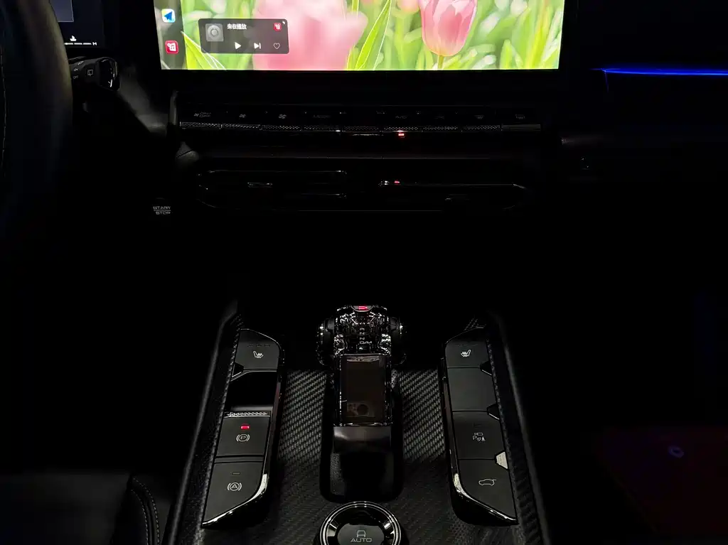 Haval Big Dog PLUS — миниатюра 14