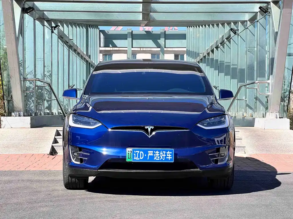 Tesla Model X — миниатюра 2