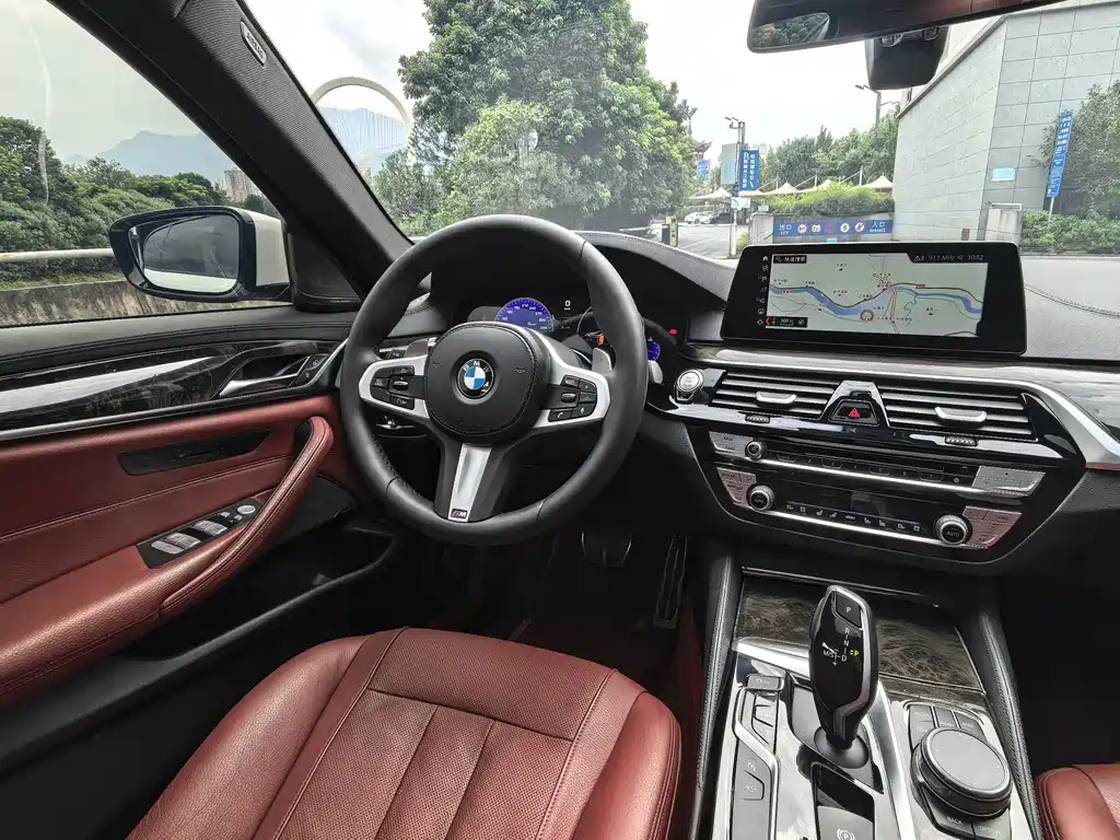 BMW 5 Series 5 2019 530Li Premium M Sport