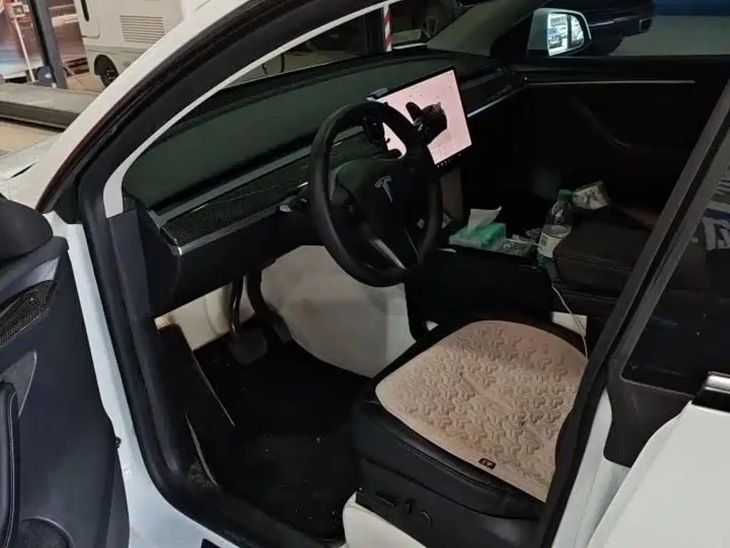 Tesla Model Y — миниатюра 4