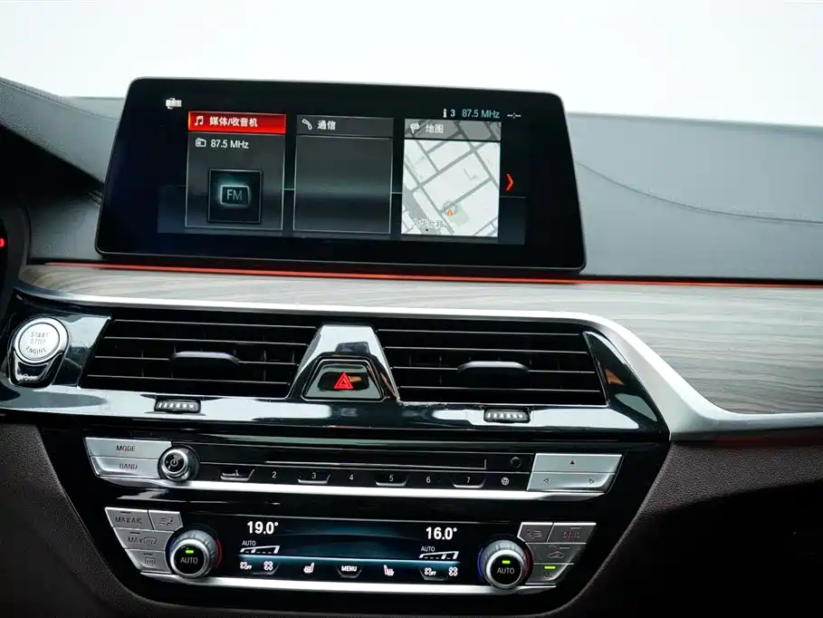 BMW 5 Series 5 2019 530Li Premium Luxury