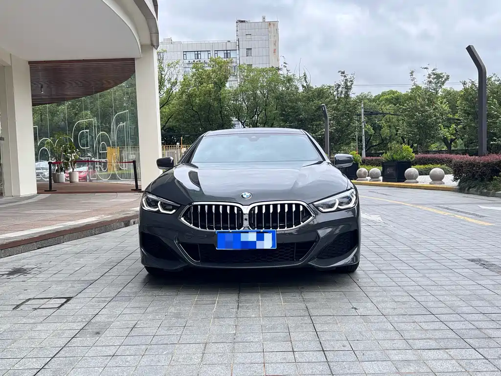 BMW 8 Series — миниатюра 2
